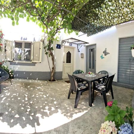 טרוגיר Apartman Perina מראה חיצוני תמונה